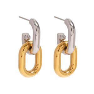 Stainless Steel Two Tone Earrings